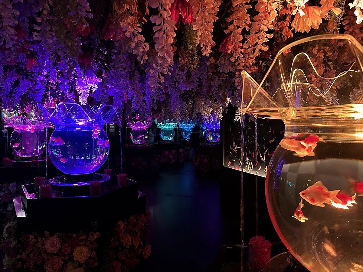 🐠 아트 아쿠아리움 미술관 GINZA (아토 아쿠아리우무 비주쓰칸 긴자) 이미지 4